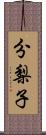 分梨子 Scroll