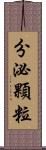 分泌顆粒 Scroll