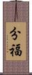 分福 Scroll