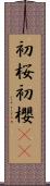 初桜;初櫻(oK) Scroll