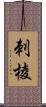 刺棱 Scroll
