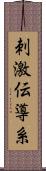 刺激伝導系 Scroll