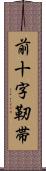 前十字靭帯 Scroll