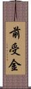 前受金 Scroll