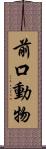 前口動物 Scroll
