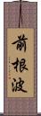 前根波 Scroll