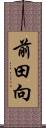 前田向 Scroll