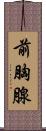 前胸腺 Scroll