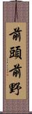 前頭前野 Scroll