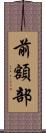前額部 Scroll