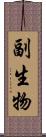 副生物 Scroll