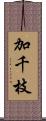 加千枝 Scroll