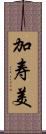 加寿美 Scroll