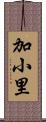 加小里 Scroll
