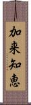 加来知恵 Scroll