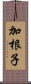 加根子 Scroll