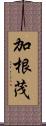 加根茂 Scroll