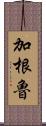 加根魯 Scroll