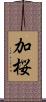 加桜 Scroll