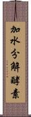 加水分解酵素 Scroll