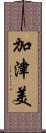 加津美 Scroll