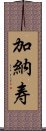 加納寿 Scroll