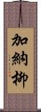 加納柳 Scroll