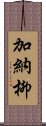 加納柳 Scroll