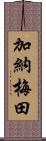 加納梅田 Scroll