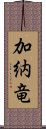 加納竜 Scroll