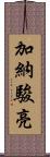 加納駿亮 Scroll