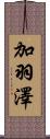 加羽澤 Scroll