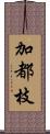 加都枝 Scroll