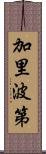 加里波第 Scroll