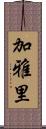 加雅里 Scroll