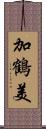 加鶴美 Scroll