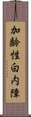 加齢性白内障 Scroll