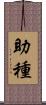 助種 Scroll