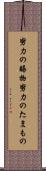 努力の賜物 Scroll