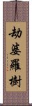 劫婆羅樹 Scroll