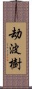 劫波樹 Scroll