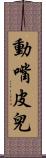 動嘴皮兒 Scroll