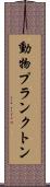 動物プランクトン Scroll
