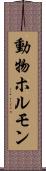動物ホルモン Scroll