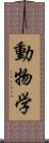 動物学 Scroll