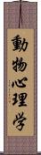 動物心理学 Scroll