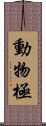 動物極 Scroll