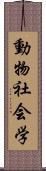 動物社会学 Scroll