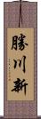 勝川新 Scroll