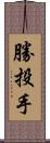 勝投手 Scroll